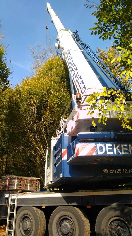 Abattage d'arbres à la Grue