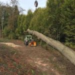 travaux forestier