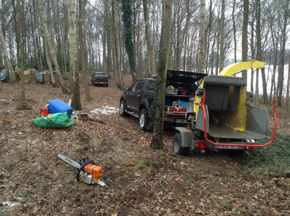 Travaux forestiers et mise à blanc